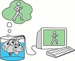 Diagram of a brain in a vat that is connected to a computer